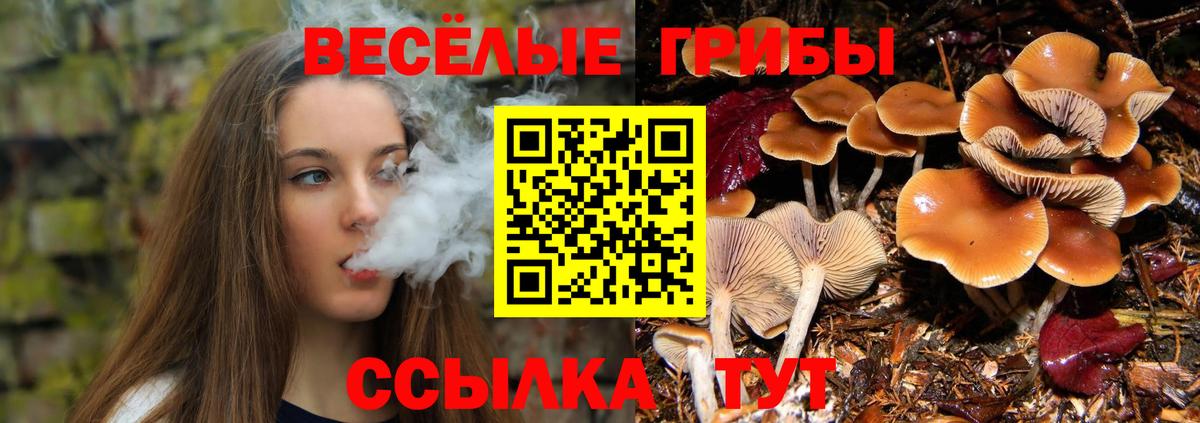 Галлюциногенные грибы мухоморы Майкоп