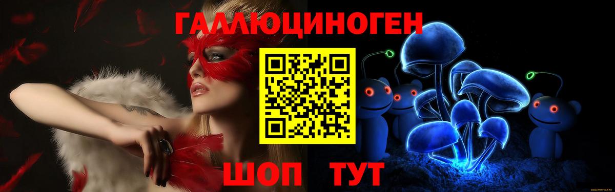 Галлюциногенные грибы Psilocybine cubensis  Вход с VPN  Майкоп 